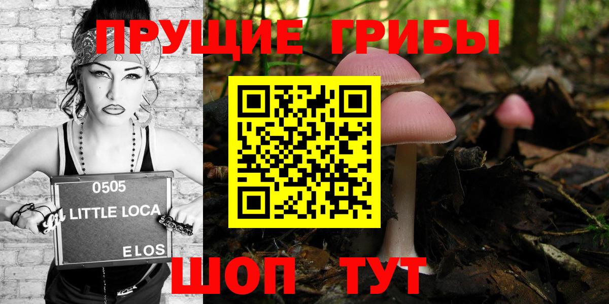 Псилоцибиновые грибы Psilocybe  Вход с VPN  Гудермес 