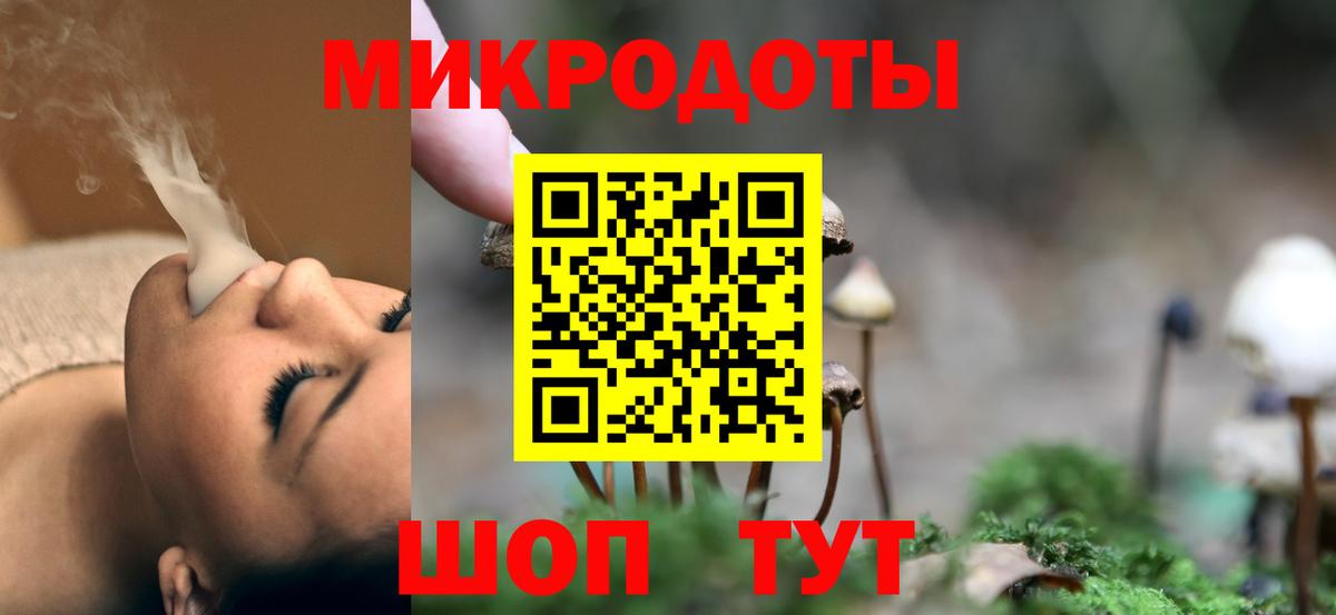 Галлюциногенные грибы Cubensis Гудермес